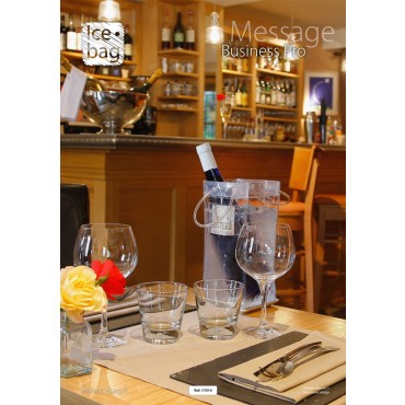 Ice Bag Message Business - 0.5 mm - 6 stuks